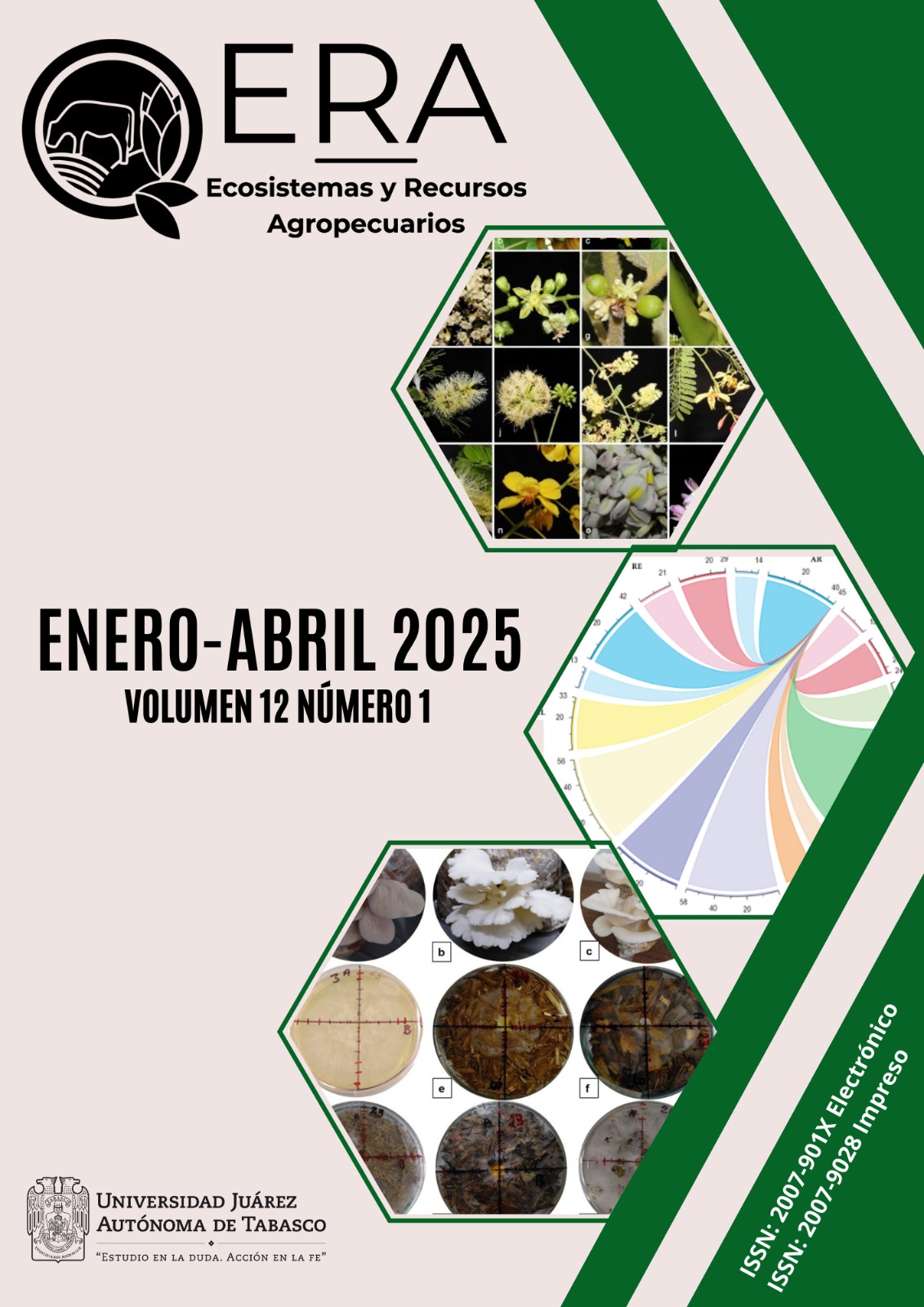 					Ver Vol. 12 Núm. 1 (2025): ENERO-ABRIL 2025
				