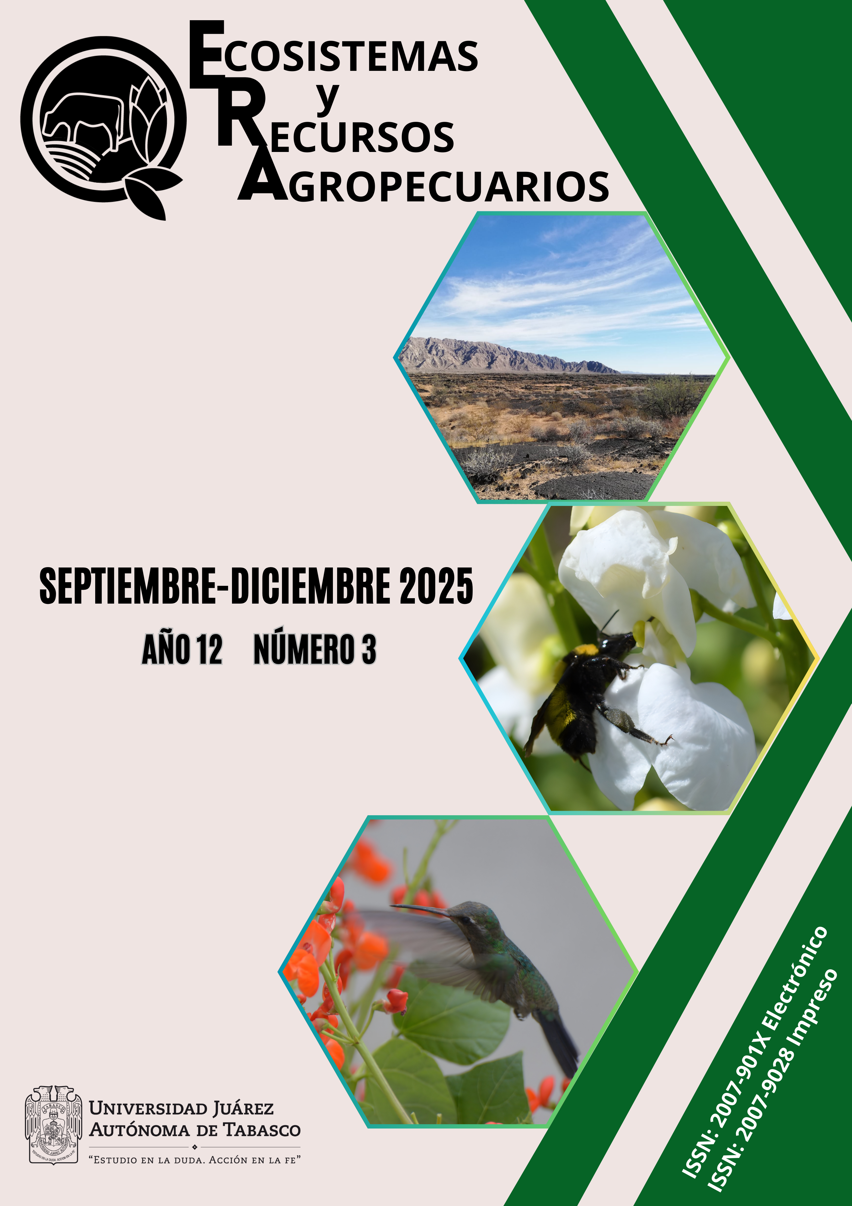 					Ver Vol. 12 Núm. 3 (2025): SEPTIEMBRE-DICIEMBRE 2025
				