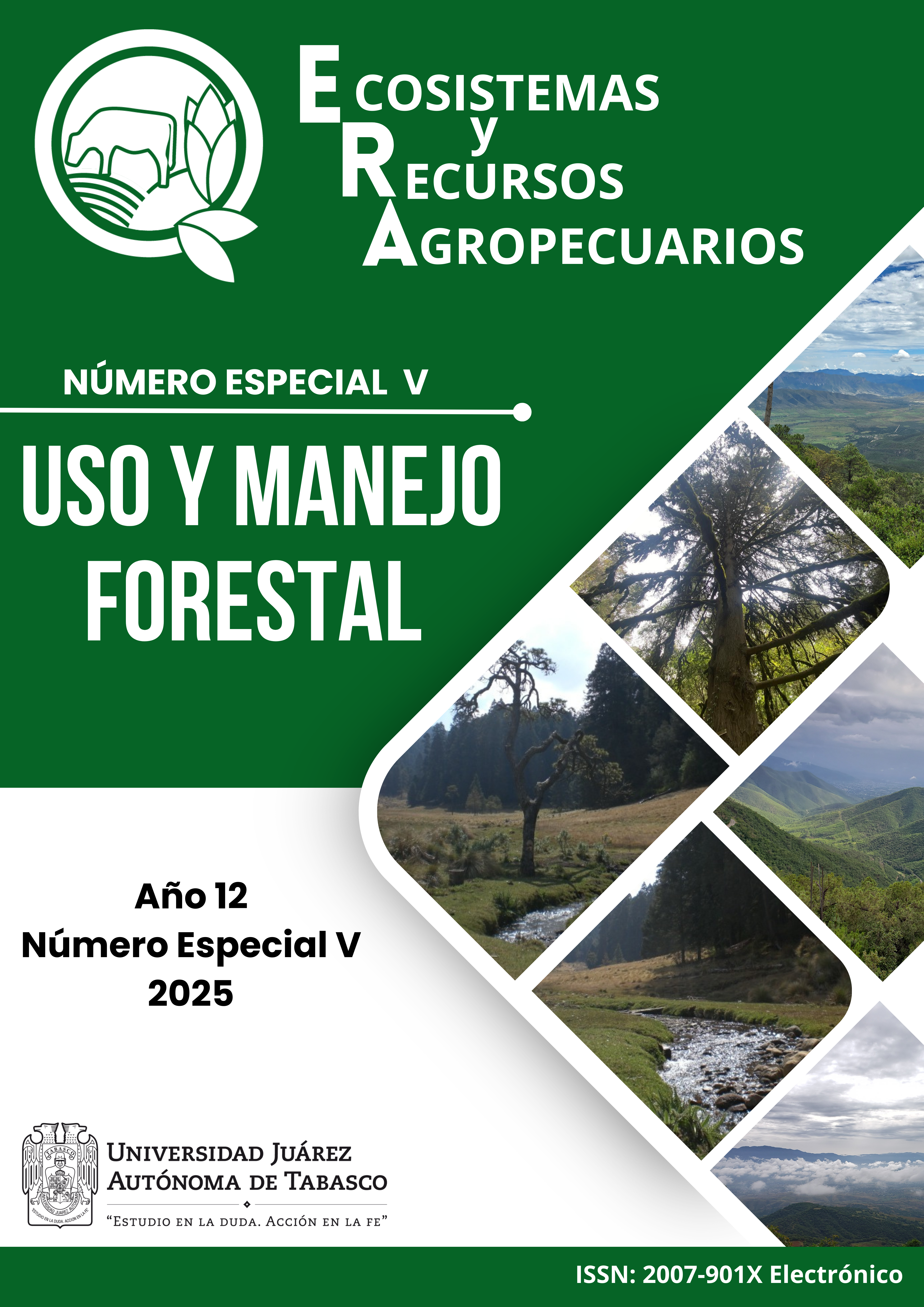 					Ver Vol. 12 Núm. V (2025): Uso y manejo forestal
				