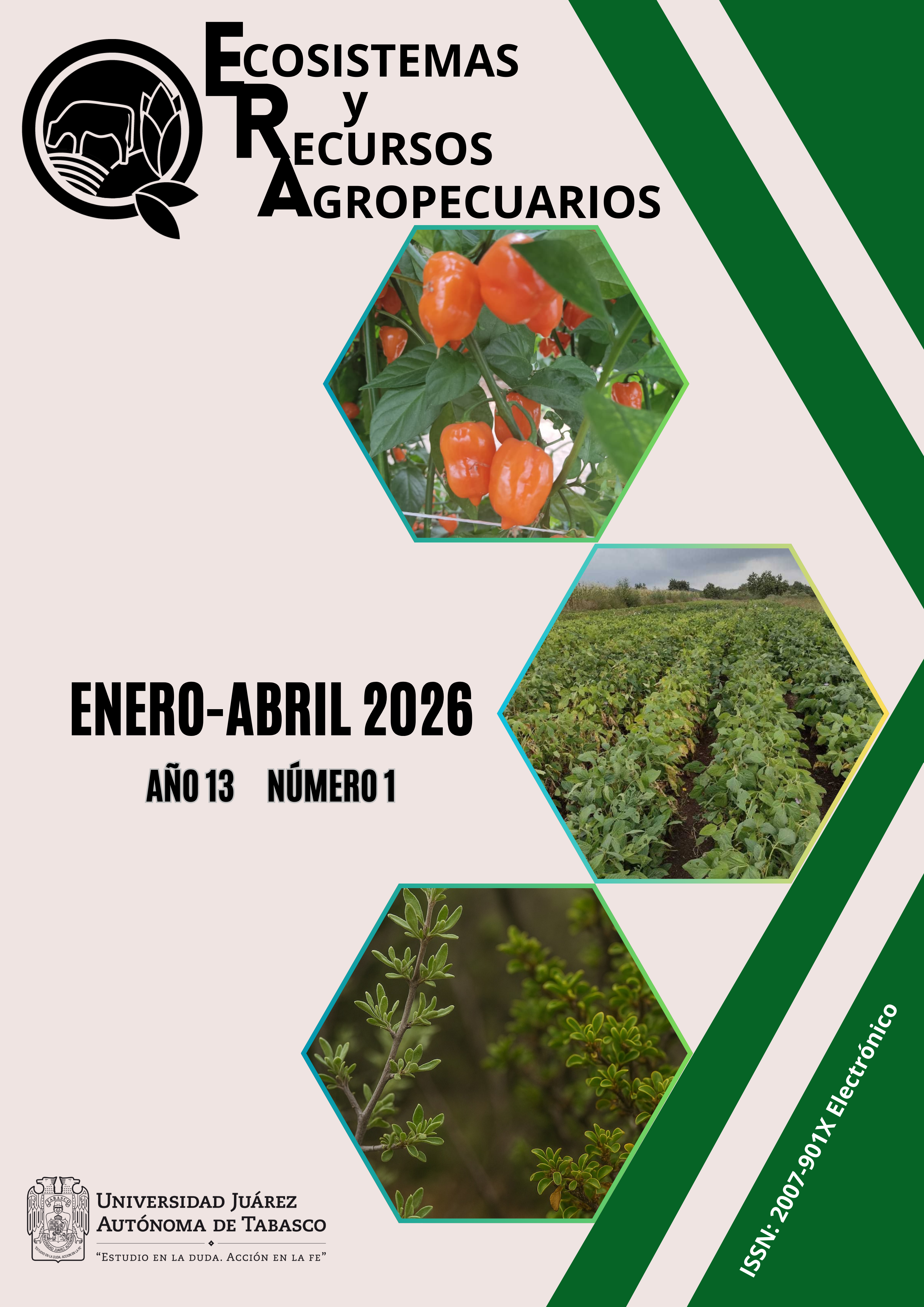 					Ver Vol. 13 Núm. 1 (2026)
				