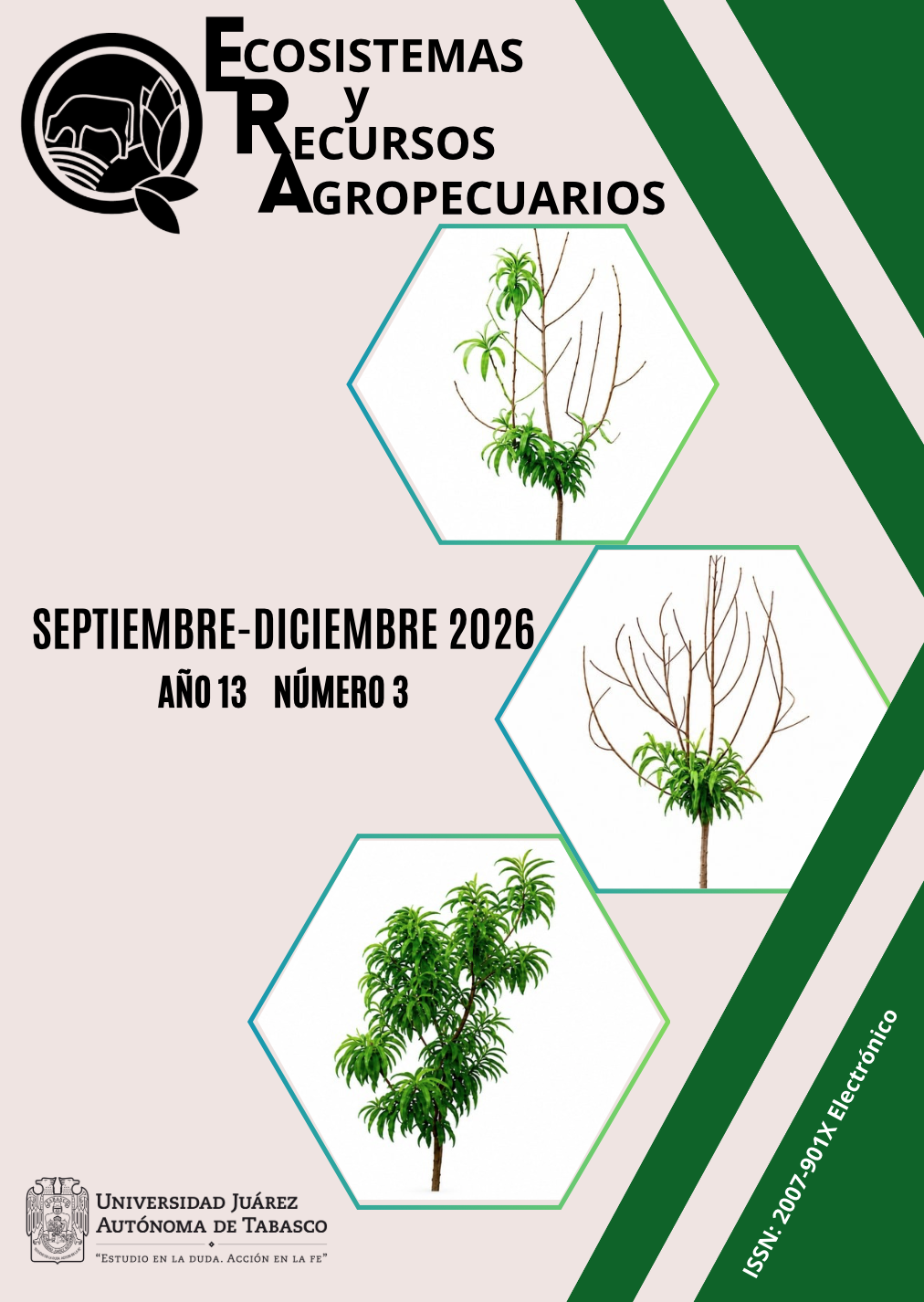 					View Vol. 13 No. 3 (2026): SEPTIEMBRE-DICIEMBRE 
				